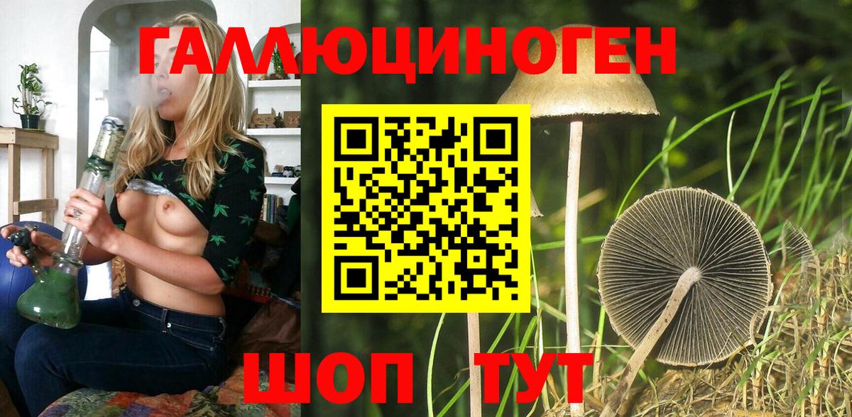 Псилоцибиновые грибы мицелий  Псилоцибиновые грибы GOLDEN TEACHER  Вход с VPN  Усть-Джегута 