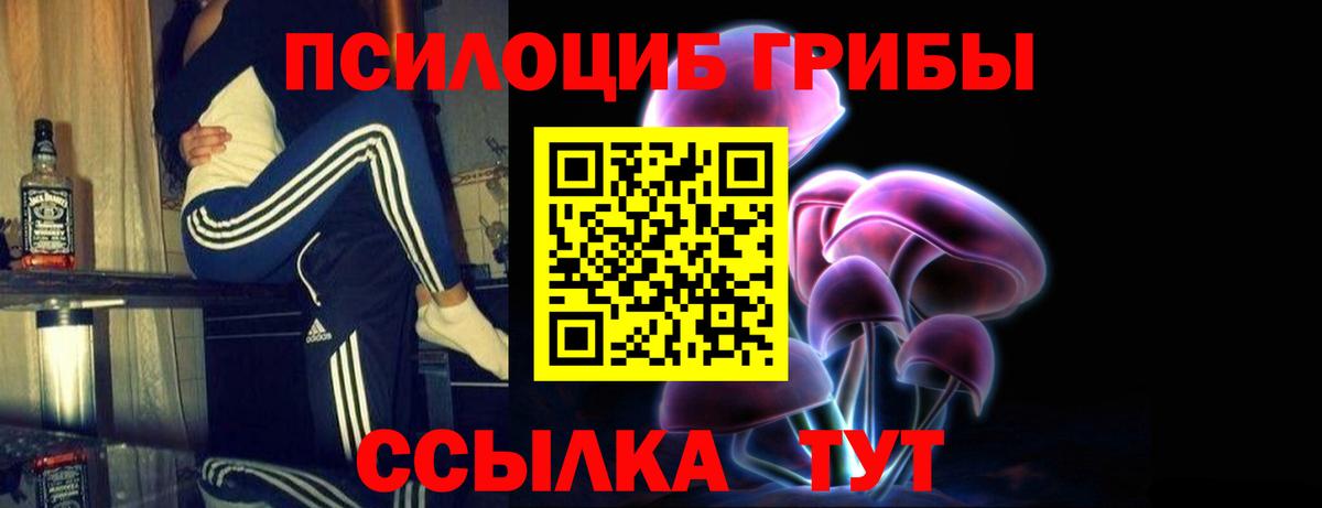 Псилоцибиновые грибы мицелий Усть-Джегута